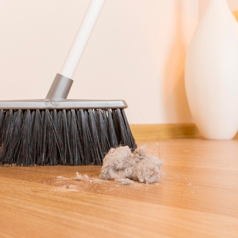 lipieza de mudanza 2