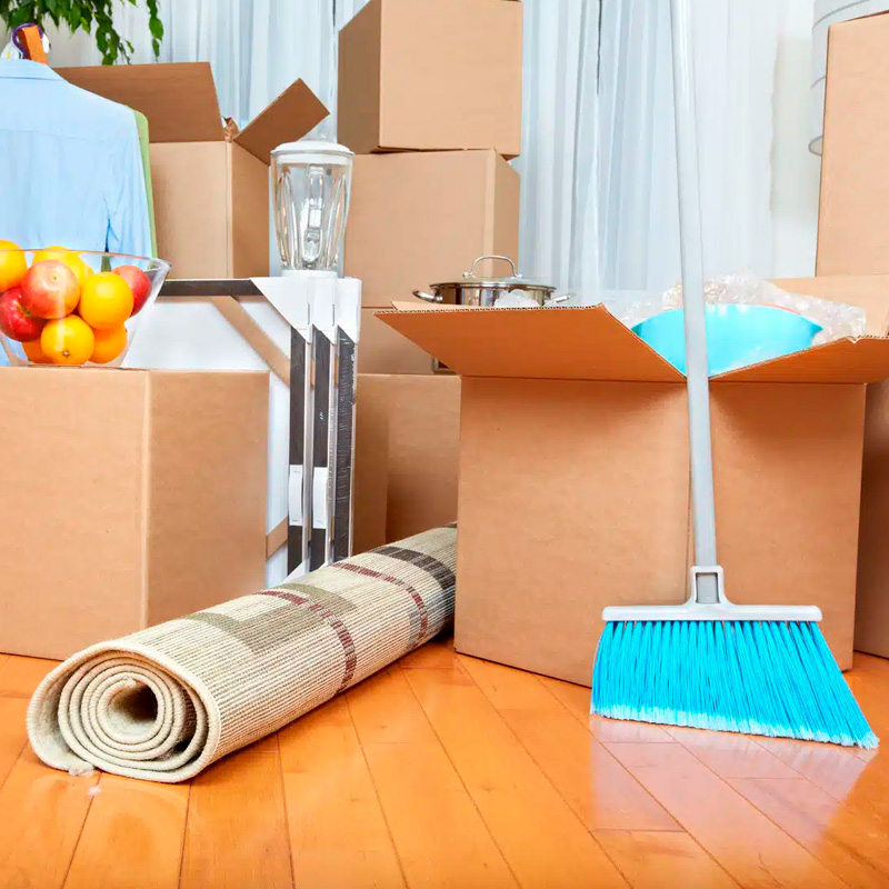 lipieza de mudanza 3